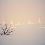 The Moment Christmas Becomes Magic