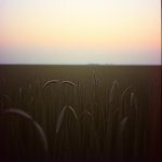 3. Countryside Reprise